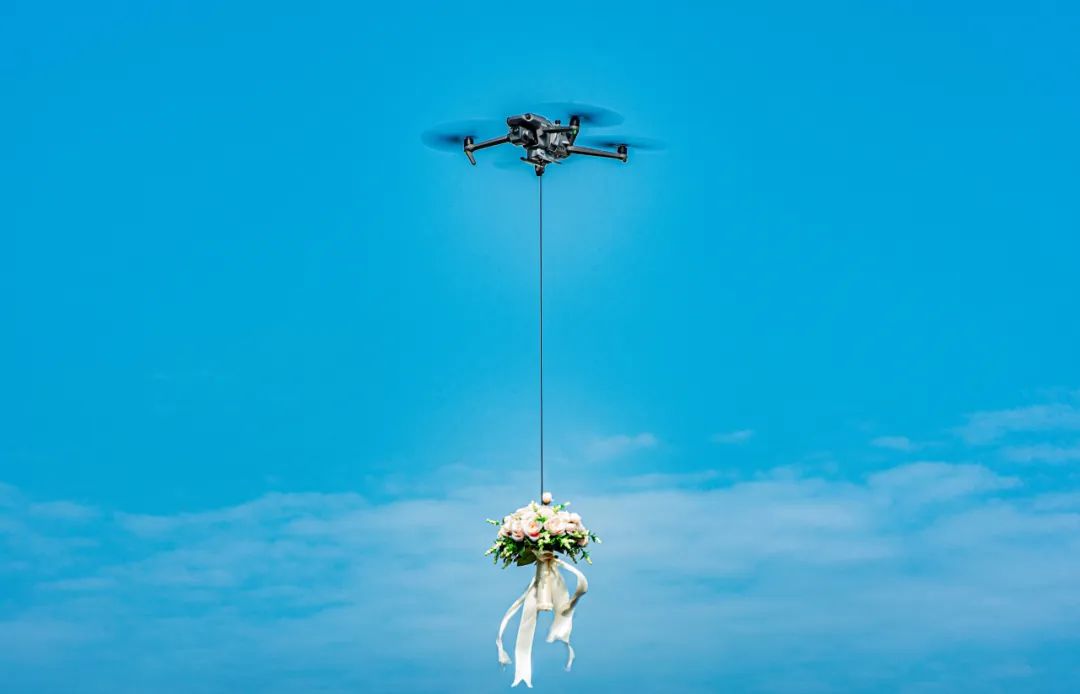 飛鴻：擁抱藍天，小小配件竟成為“隱形冠軍”